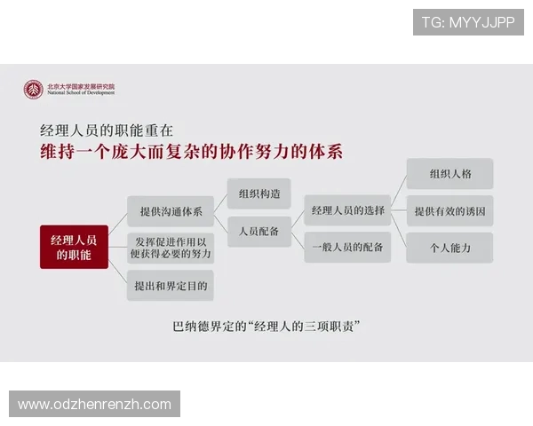 ag视讯集团为用户提供的优质服务与客户体验提升措施探讨